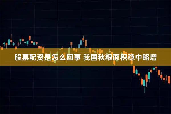 股票配资是怎么回事 我国秋粮面积稳中略增