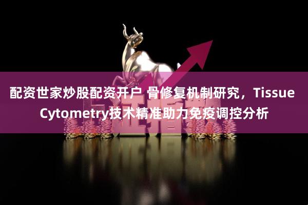 配资世家炒股配资开户 骨修复机制研究，Tissue Cytometry技术精准助力免疫调控分析